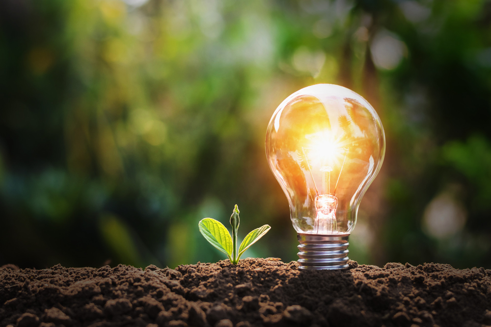 Dosar prosumator Iași: Cum ajungi să valorifici energia verde?