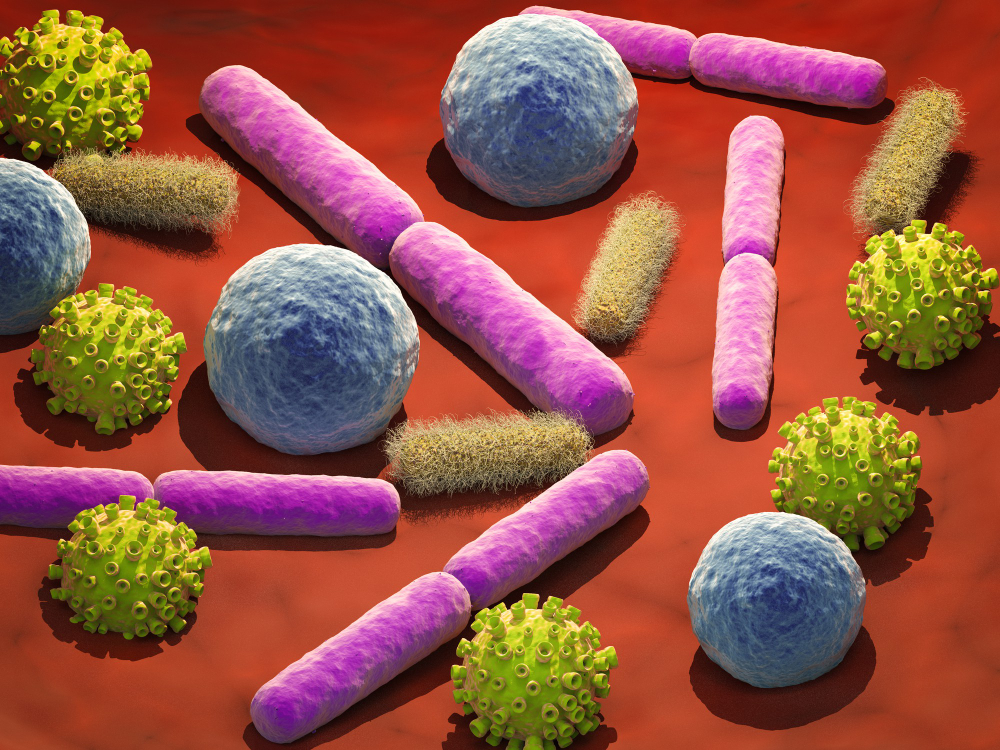 Mycoplasma hominis: cauze, simptome și opțiuni de tratament