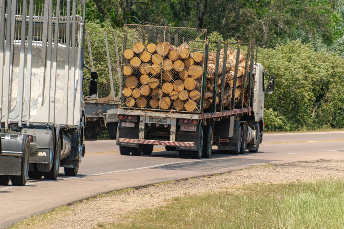 Cum verifici dacă un transport de lemn este legal