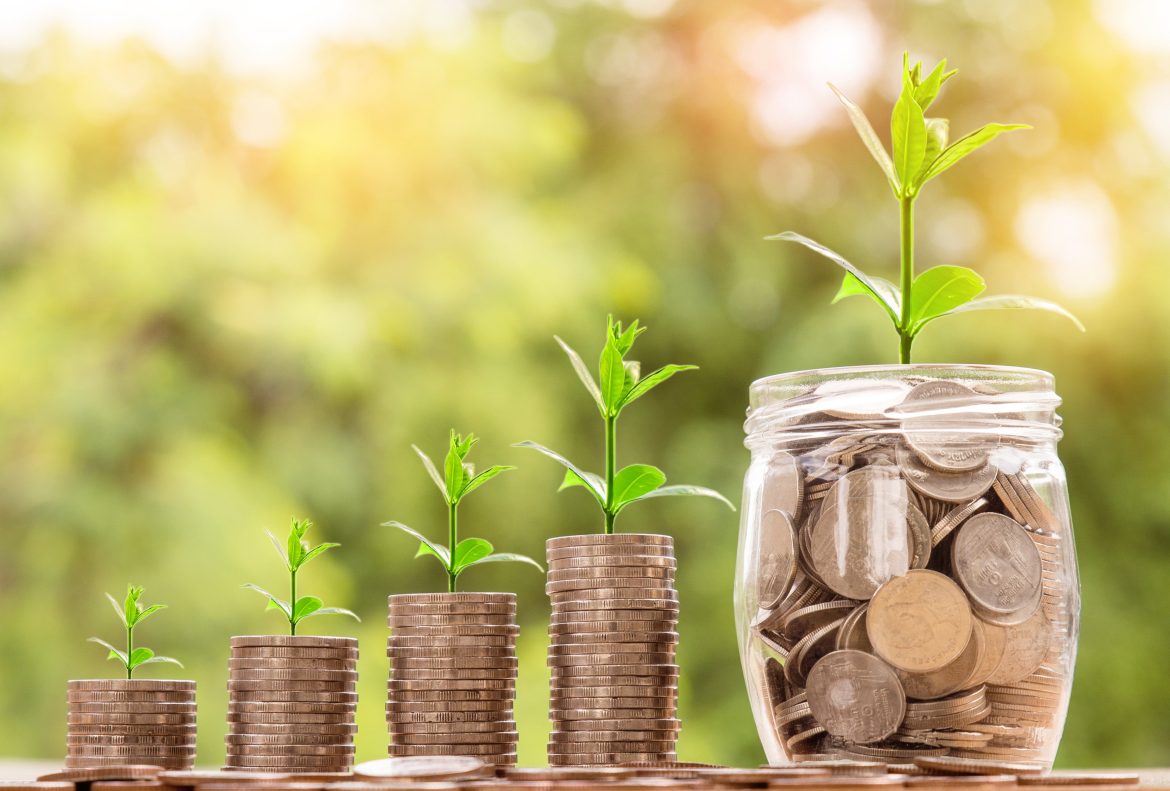 Cum să începi să investești cu un buget mic și să construiești un portofoliu